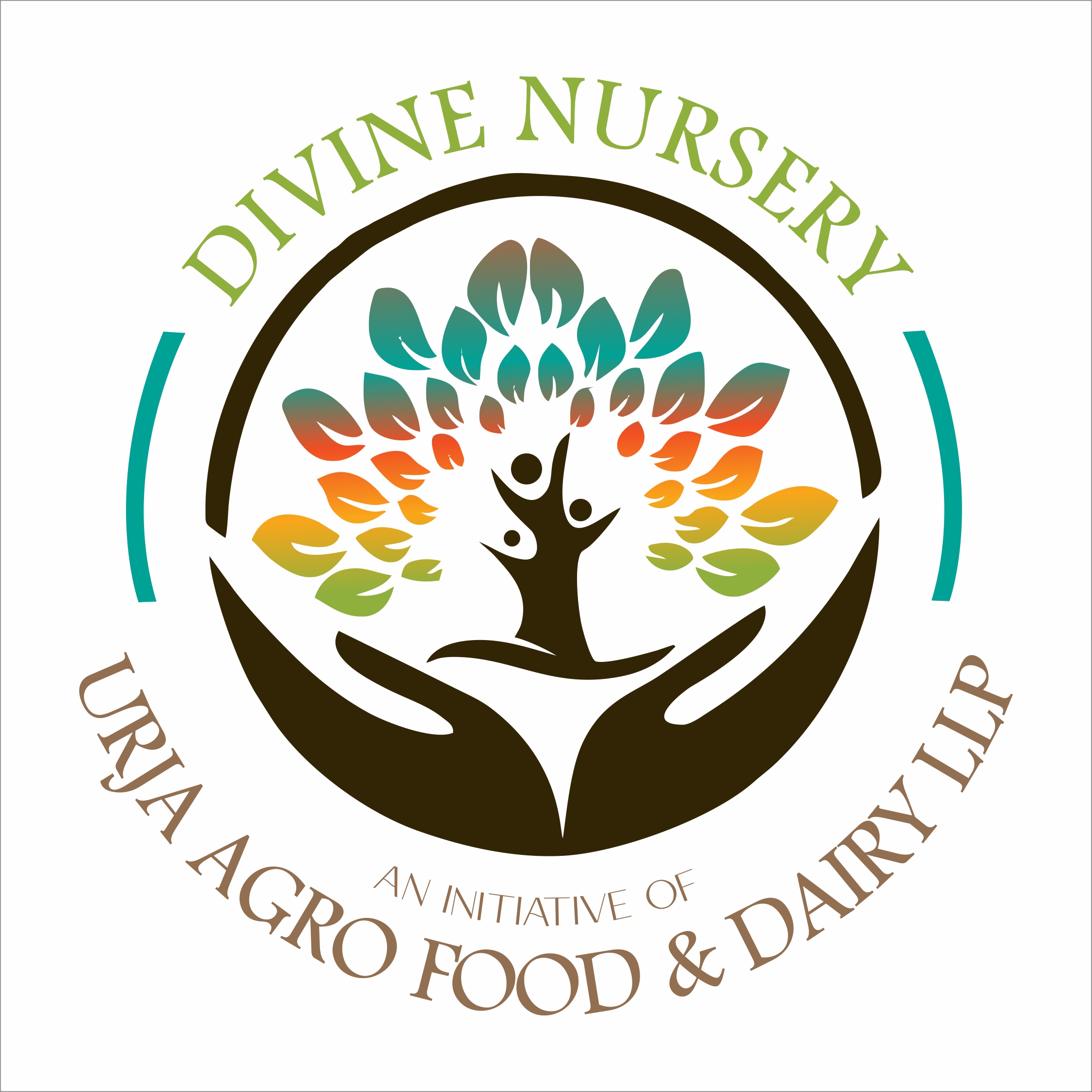 Divine Nursery